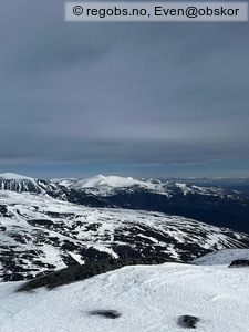 Observation photo 6