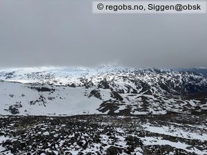 Observation photo 8