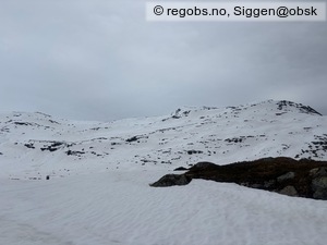Observation photo 16