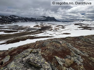 Observation photo 6