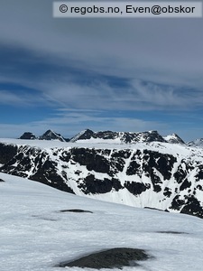 Observation photo 4