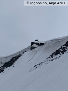 Observation photo 2