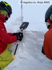 Observation photo 1