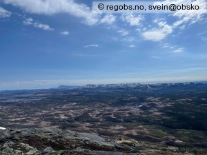 Observation photo 1