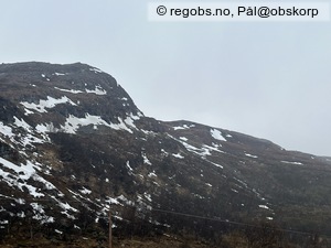 Observation photo 3