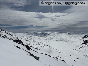 Observation photo 6