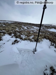 Observation photo 5