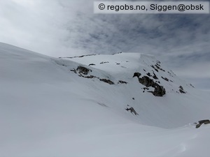 Observation photo 26