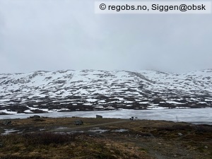 Observation photo 3
