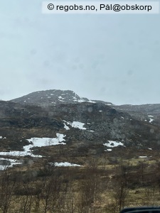 Observation photo 9