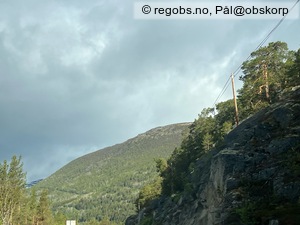 Observation photo 21