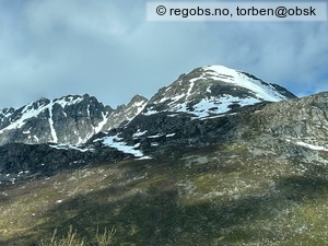 Observation photo 11