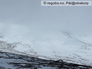 Observation photo 12