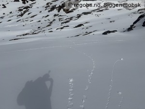 Observation photo 14