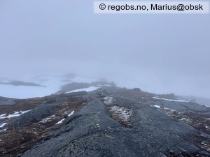 Observation photo 3