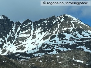 Observation photo 14