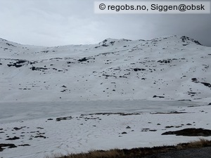 Observation photo 11
