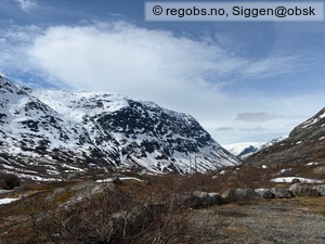 Observation photo 17