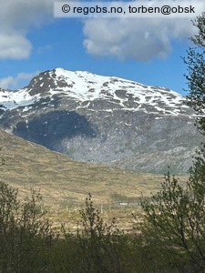 Observation photo 7