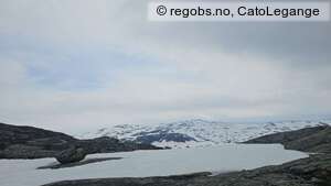 Observation photo 1