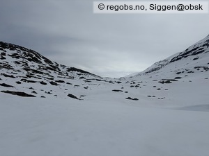 Observation photo 22
