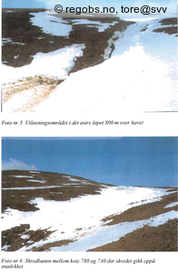Observation photo 1