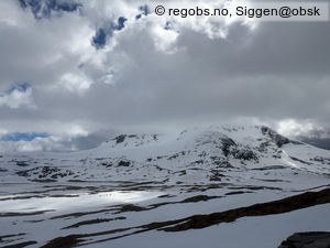 Observation photo 4