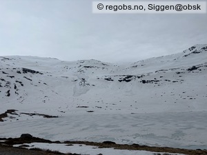 Observation photo 10