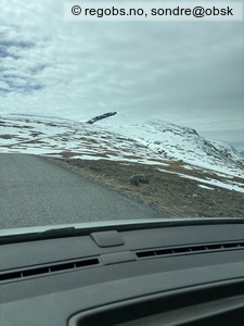 Observation photo 4