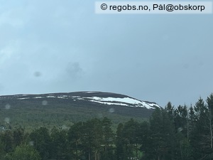 Observation photo 22