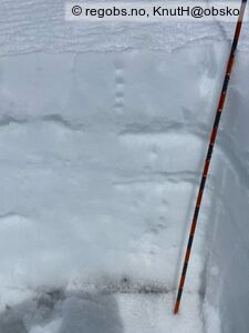 Bilde Av Snødekke