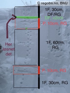 Bilde Av Snøprofil