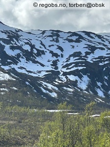 Observation photo 4
