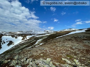 Observation photo 2
