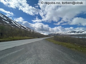 Observation photo 3