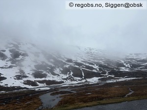 Observation photo 5