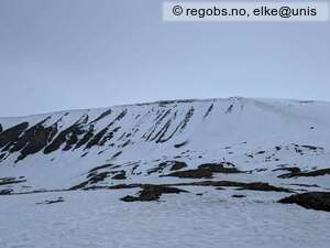 Observation photo 11