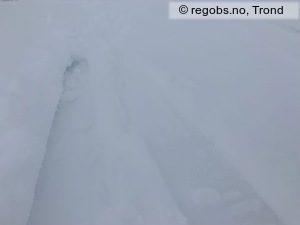 Bilde Av Snødekke