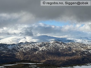 Observation photo 10