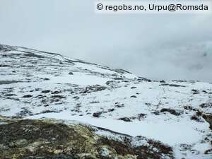 Observation photo 5