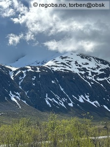 Observation photo 15