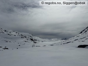 Observation photo 27
