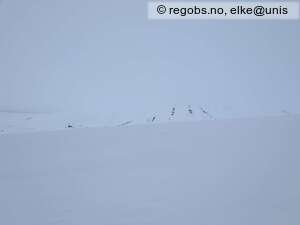 Observation photo 5