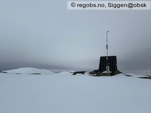 Observation photo 6